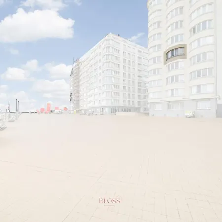 Paris Seaview Zeezicht Vue By Bloss * Ostende